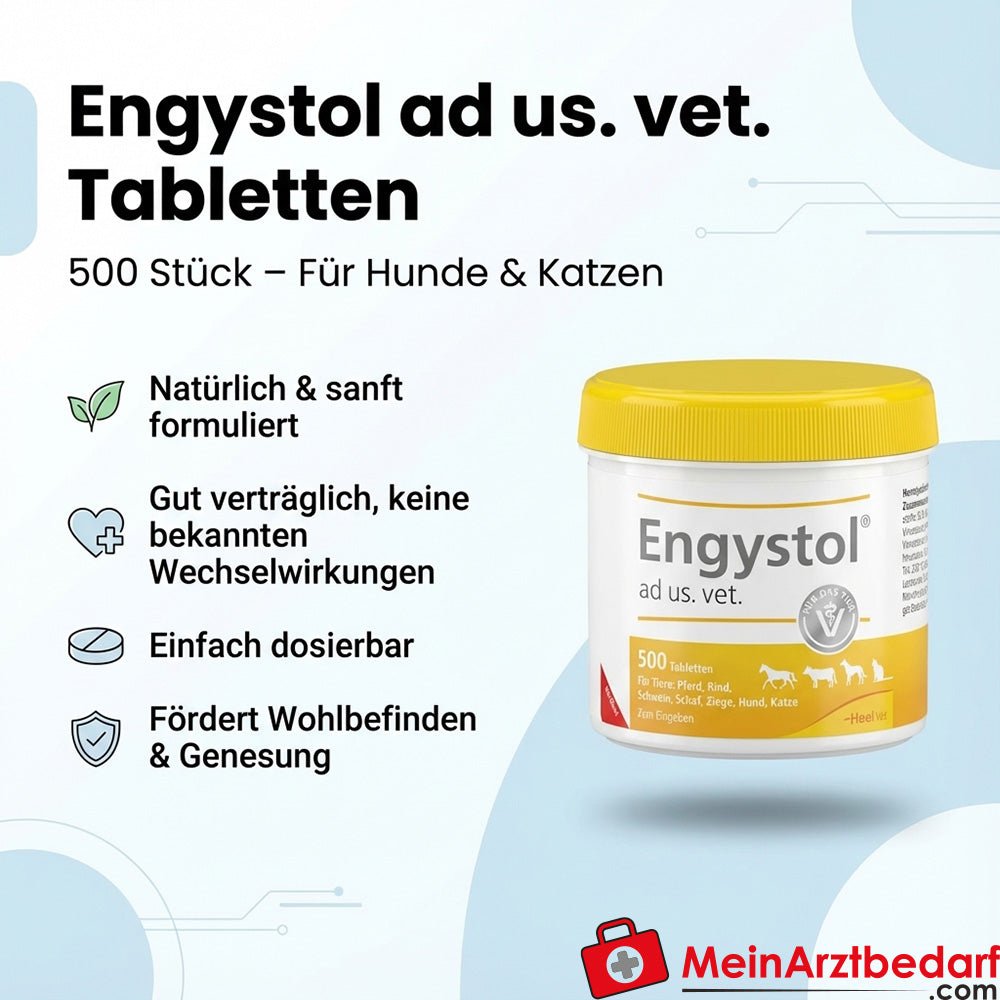 Engystol ad us vet comprimidos homeopáticos 500 unidades para perros y gatos