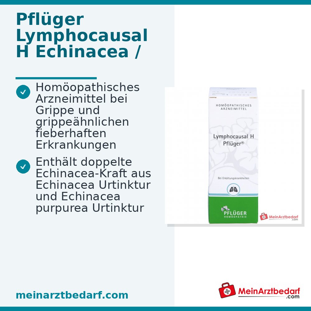 Pflüger Lymphocausal H Echinacea, Eupatorium, Lachesis D10 krople 10 ml