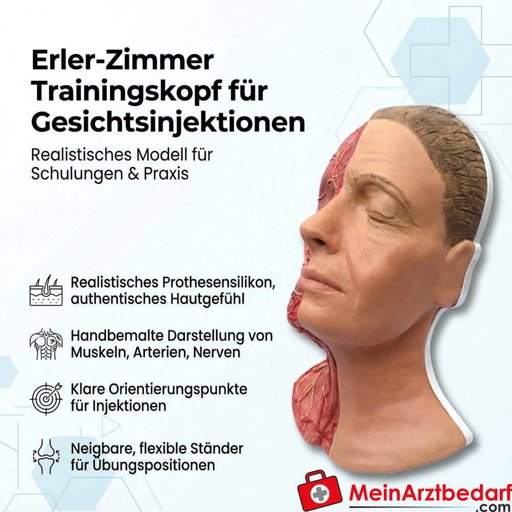 Erler Zimmer Tête d'entraînement pour injections faciales, silicone pour prothèses, muscles/artères/nerfs