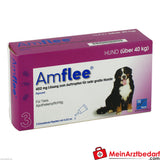 Amflee 402 mg pour chiens (40-60 kg), 3 pcs.