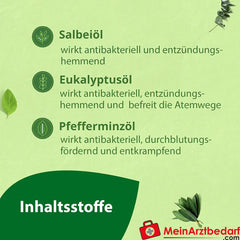 Salviagalen F Madaus|Medizinische Zahnpasta mit Fluorid, 75ml.