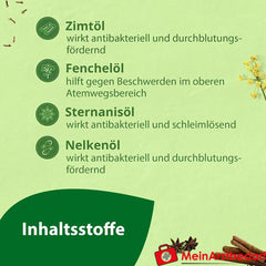 Salviagalen F Madaus|Medizinische Zahnpasta mit Fluorid, 75ml.