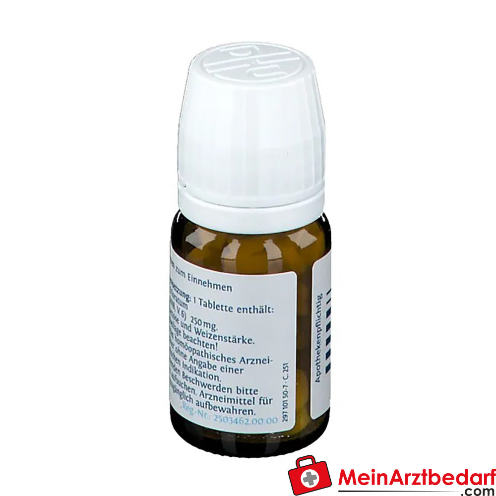 DHU Biochemie 21 Zincum chloratum D6.