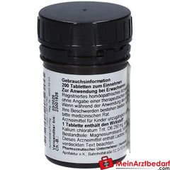 Schüßler Nr. 4 Kalium chloratum D6 Tabletten.