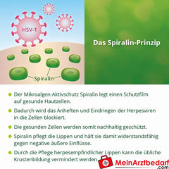 ilon® Lippencreme HS bei Herpes, 3ml.