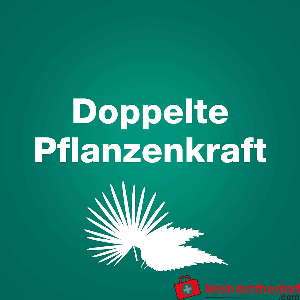 Prostagutt duo Sägepalmenfrucht-Dickextrakt / Brennnesselwurzel-Trockenextrakt Weichkapseln 160 mg/120 mg, 60 St.