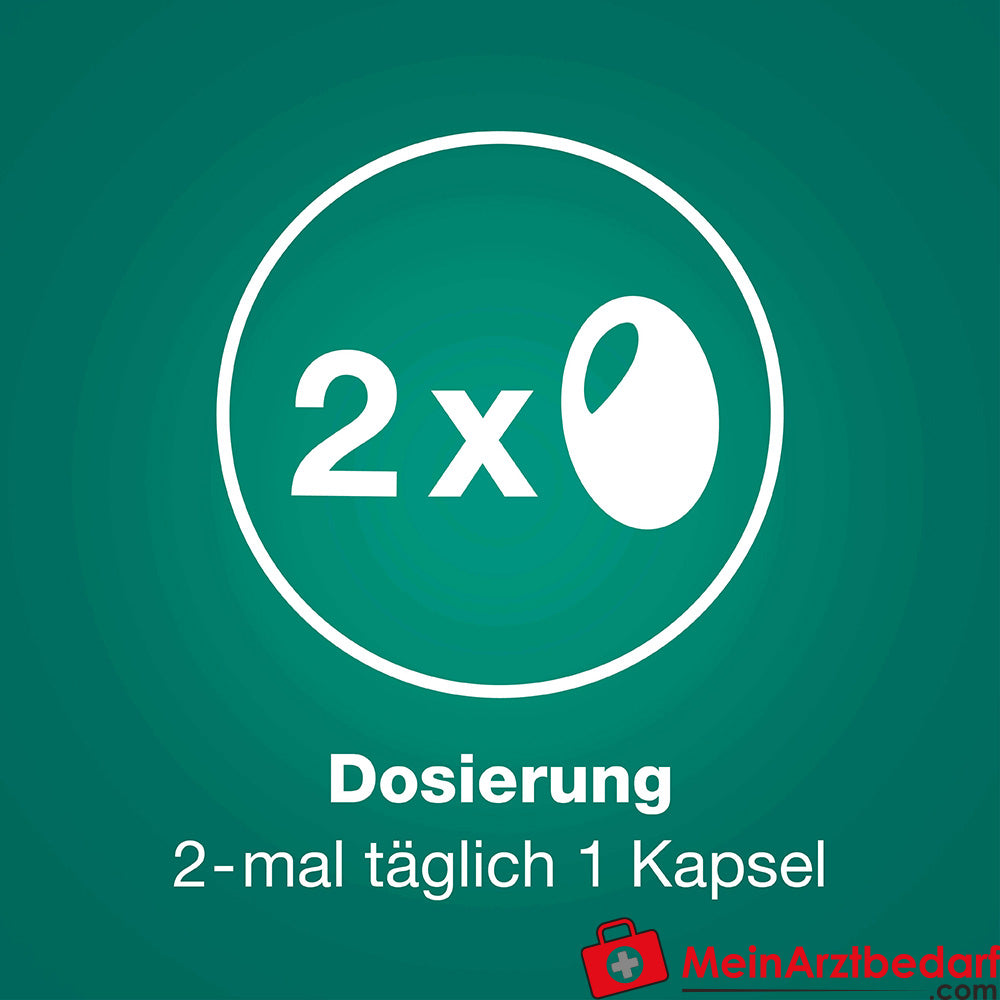 Prostagutt duo Sägepalmenfrucht-Dickextrakt / Brennnesselwurzel-Trockenextrakt Weichkapseln 160 mg/120 mg, 60 St.