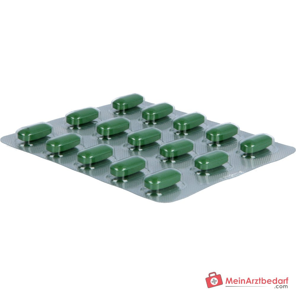 Remisens Damianablad-droogextract filmomhulde tabletten, 90 st.