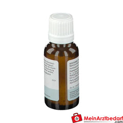 BIOCHEMIE PFLÜGER® Nr. 23 Natrium bicarbonicum D12.
