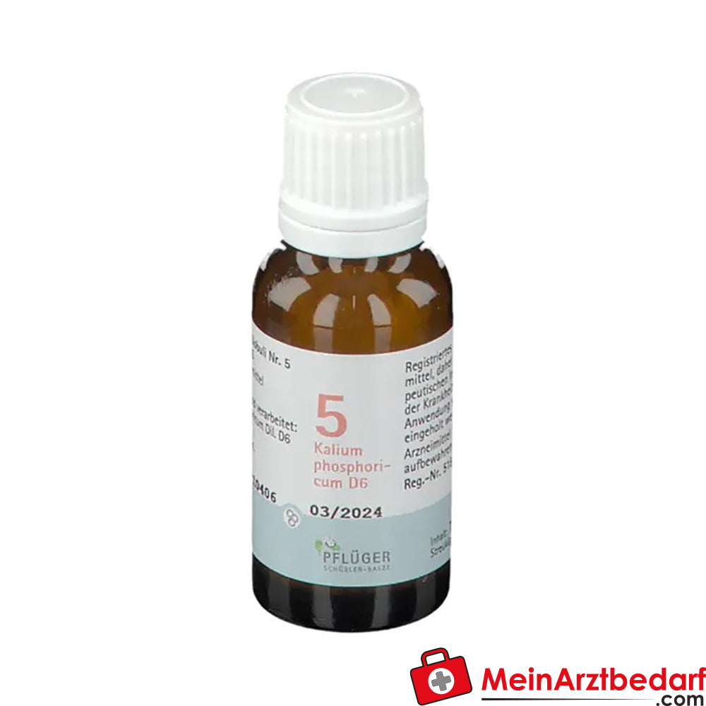 BIOCHEMIE PFLÜGER Nr. 5 Kalium phosphoricum D6.
