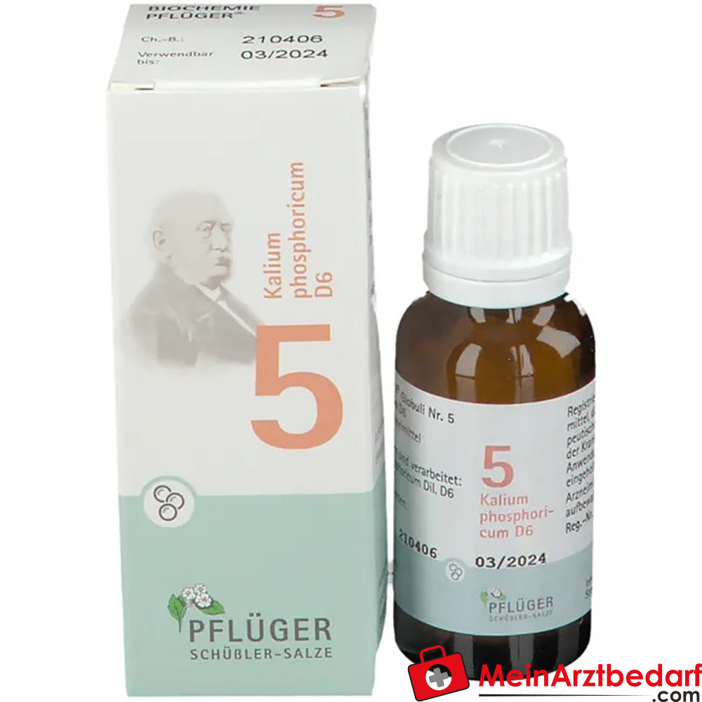 BIOCHEMIE PFLÜGER Nr. 5 Kalium phosphoricum D6.
