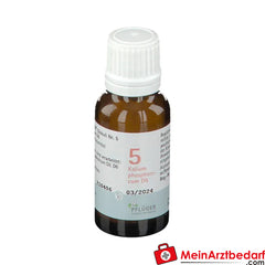 BIOCHEMIE PFLÜGER Nr. 5 Kalium phosphoricum D6.