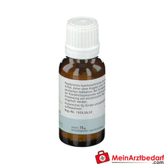 BIOCHEMIE PFLÜGER® Nr. 6 Kalium sulfuricum D 6.