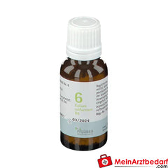 BIOCHEMIE PFLÜGER® Nr. 6 Kalium sulfuricum D 6.