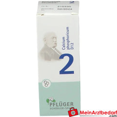 BIOCHEMIE PFLÜGER No. 2 Calcium phosphoricum D 12.