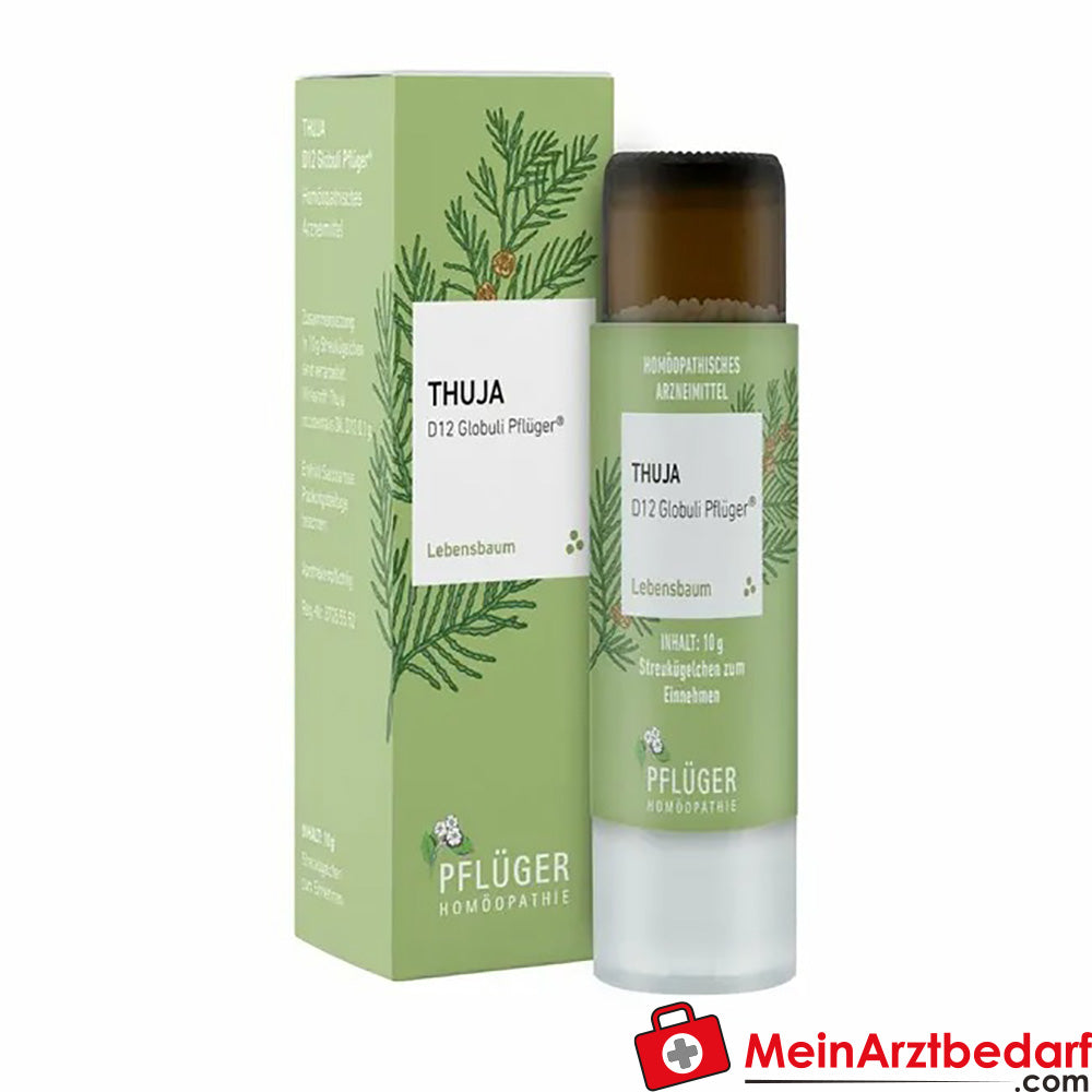 Thuja D12 Globuli Pflüger®.