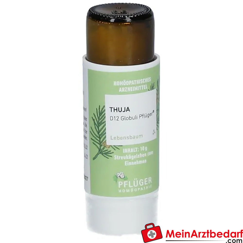 Thuja D12 Globuli Pflüger®.