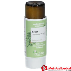 Thuja D12 Globuli Pflüger®.