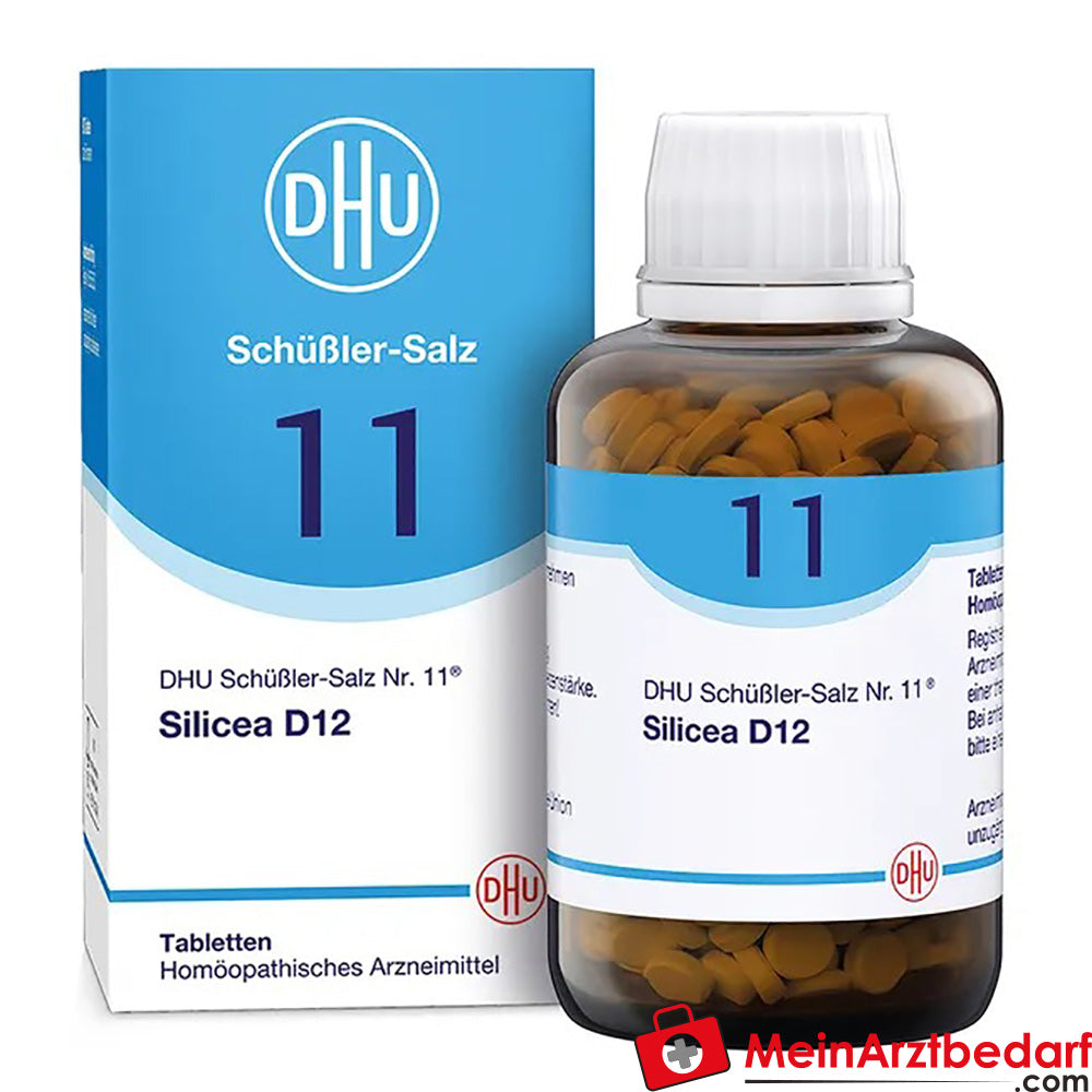 DHU Schuessler Zout nr. 11 Silicea D12 Acidum silicicum 250 mg Tabletten