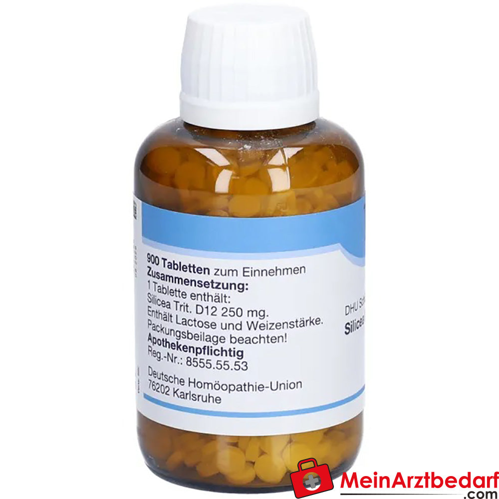 DHU Schuessler Zout nr. 11 Silicea D12 Acidum silicicum 250 mg Tabletten