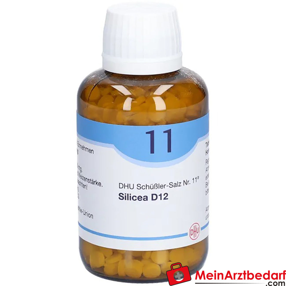 DHU Schuessler Zout nr. 11 Silicea D12 Acidum silicicum 250 mg Tabletten