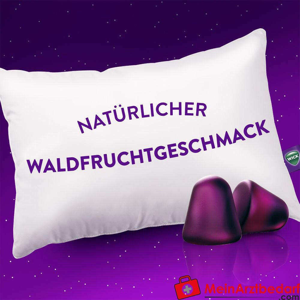 Wick ZzzQuil Gute Nacht Intens.
