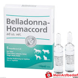 Belladonna homaccord vet, 5 ampoules.