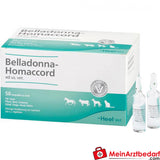 Belladonna homaccord vet 50 St.