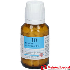 DHU Schüßler-Salz Nr. 10® Natrium sulfuricum D12.