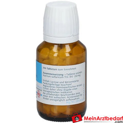 DHU Schüßler-Salz Nr. 10® Natrium sulfuricum D12.