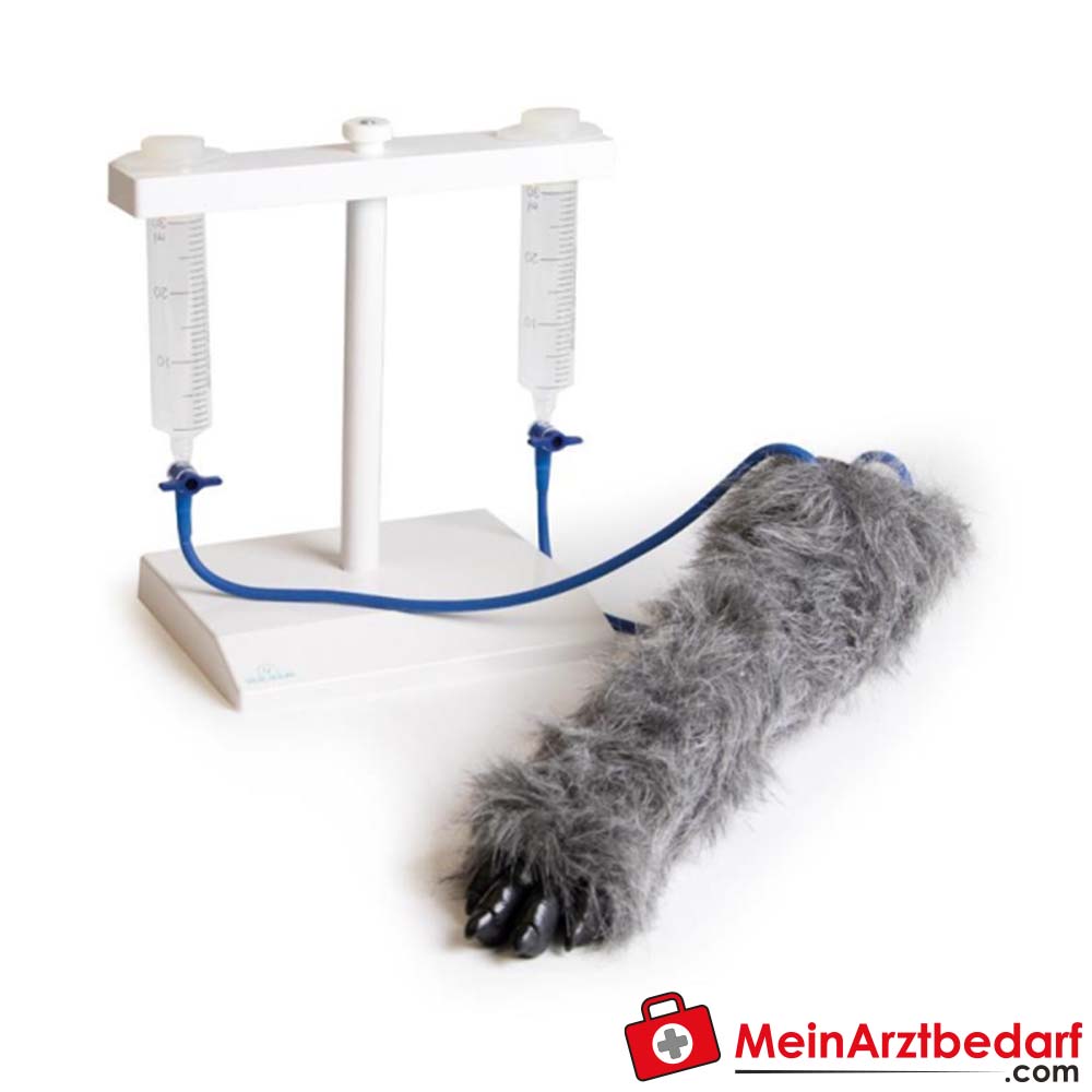 Erler-Zimmer I.V. Injektionsbein Hund.
