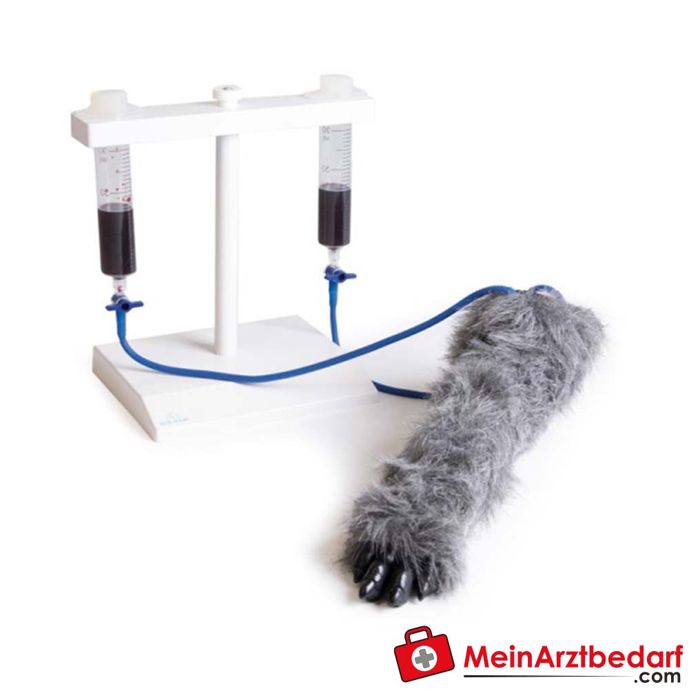Erler-Zimmer I.V. Injektionsbein Hund.