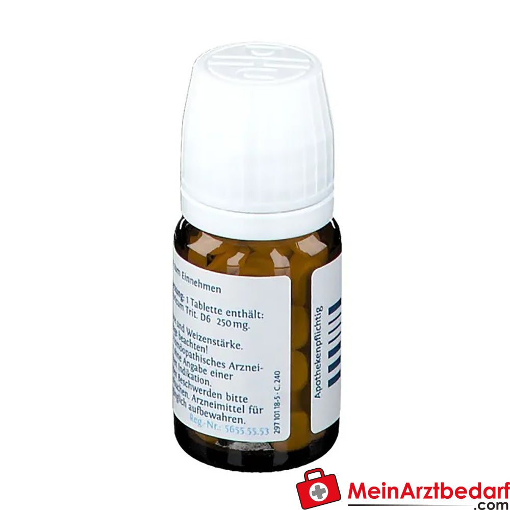 DHU Schüßler-Salz Nr. 10® Natrium sulfuricum D6.