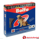 Collar Antipulgas Bolfo para Perro 1 Uds.