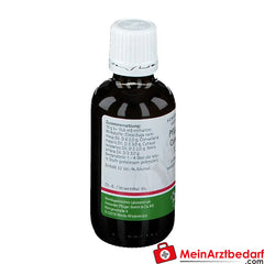 Pflügerplex® Convallaria 137 H.