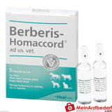 Berberis homaccord wet 5 x 5 ml