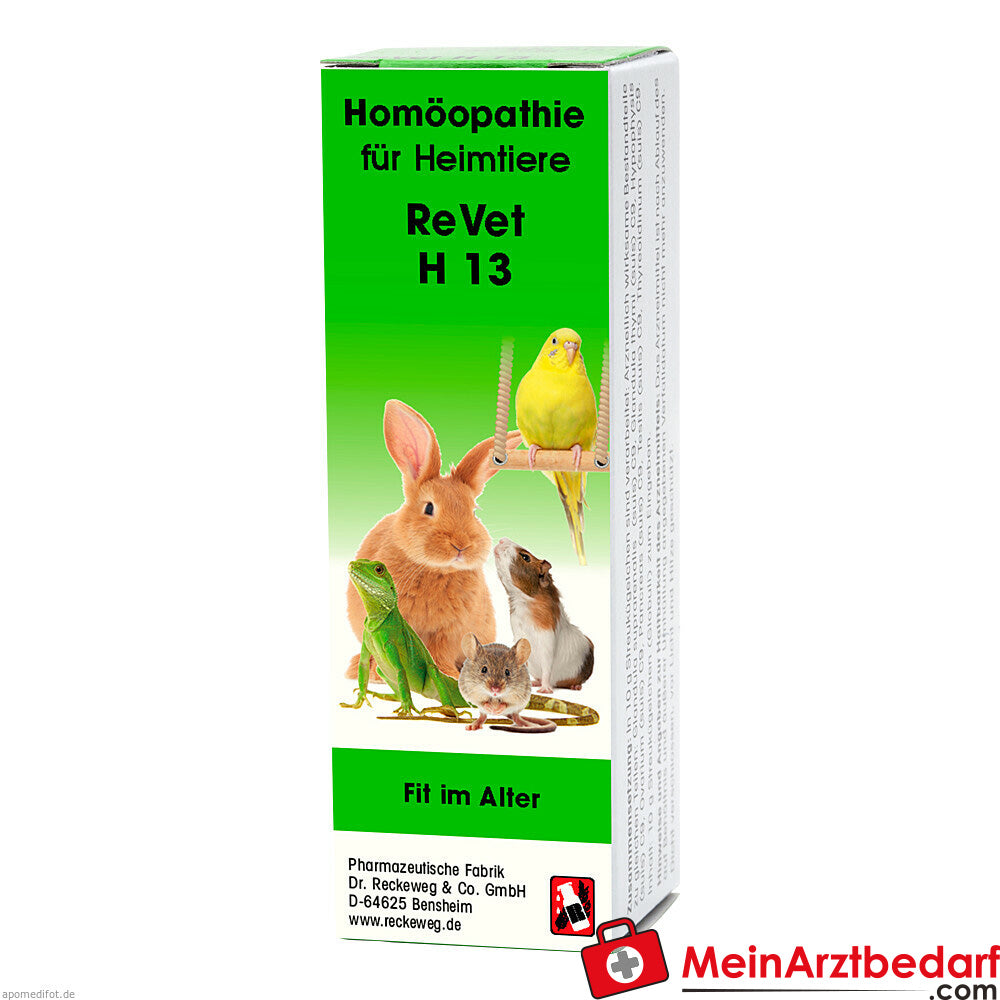 Apósito H 13 vet 10 g