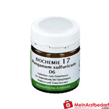 BIOCHEMIE 17 Manganum Sulfuricum D6.