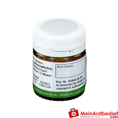 BIOCHEMIE 17 Manganum Sulfuricum D6.