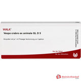WALA Vespa Crabro ex animale Gl D5, 10 x 1 ml ampułki