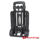 Elite Bags CARRY Trolley, schwarz.