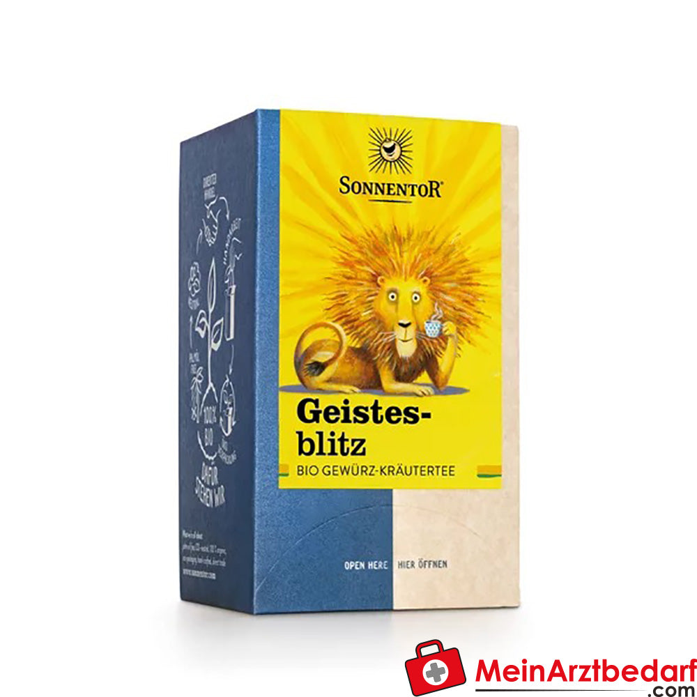 Sonnentor Bio Geistesblitz Tee.