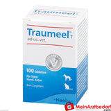 Traumeel t ad us vet 100 St