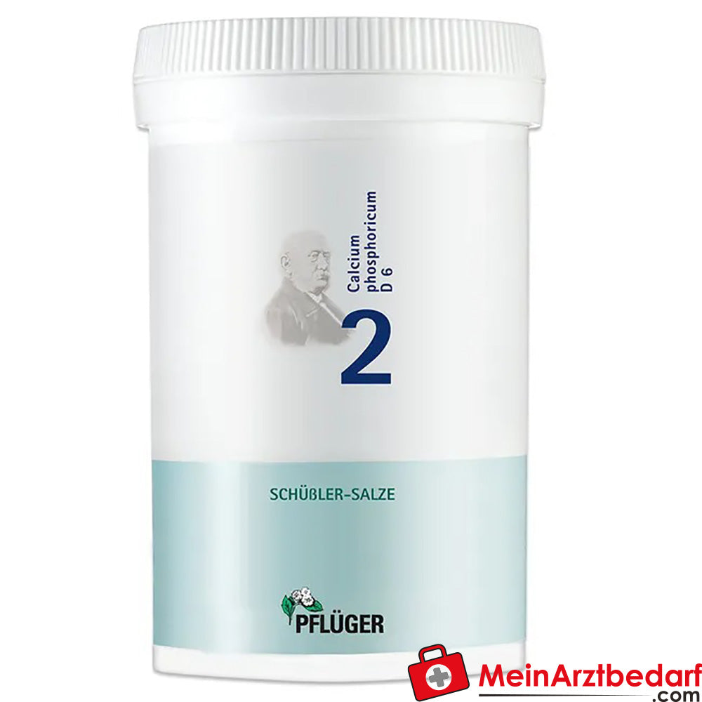 Pflüger Biochemie Nr. 2 Calcium phosphoricum D6 Tabletten, 100 St.