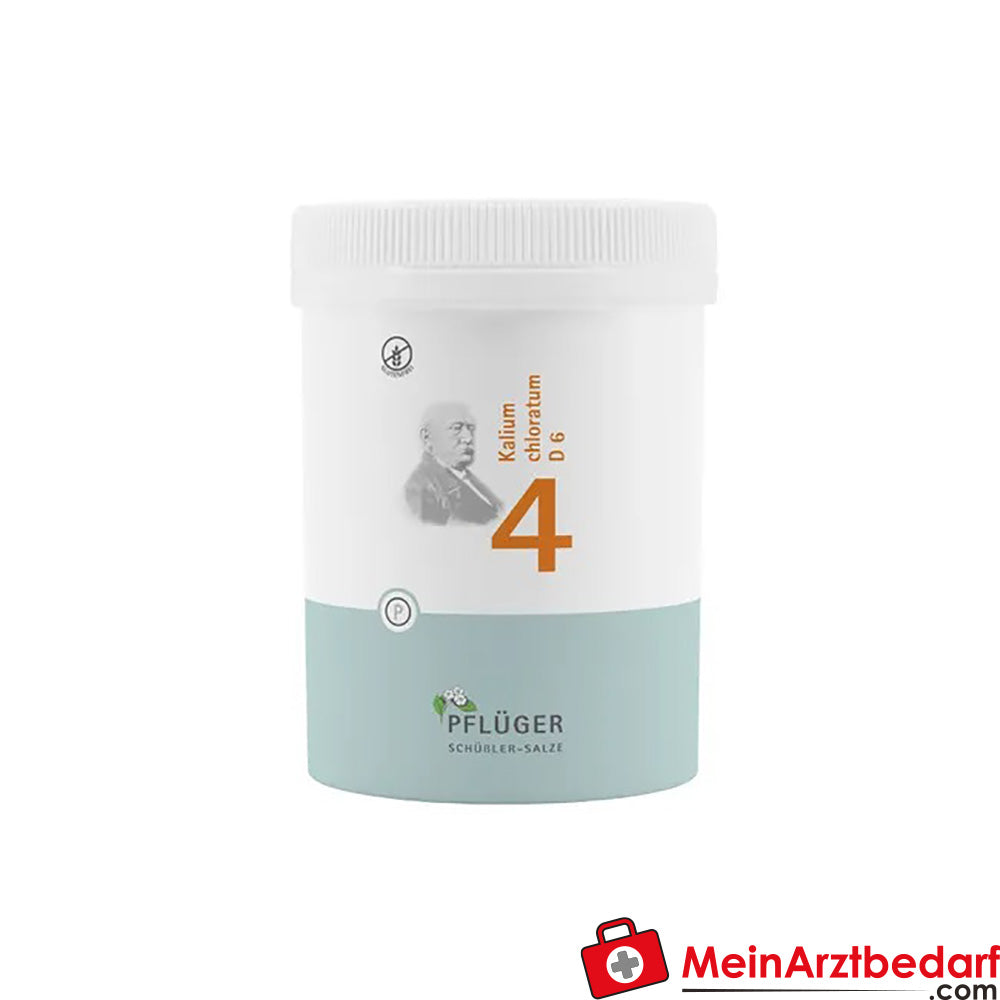 Biochemie Pflüger Nr. 4 Kalium chloratum D6 Tabletten 100 Stück