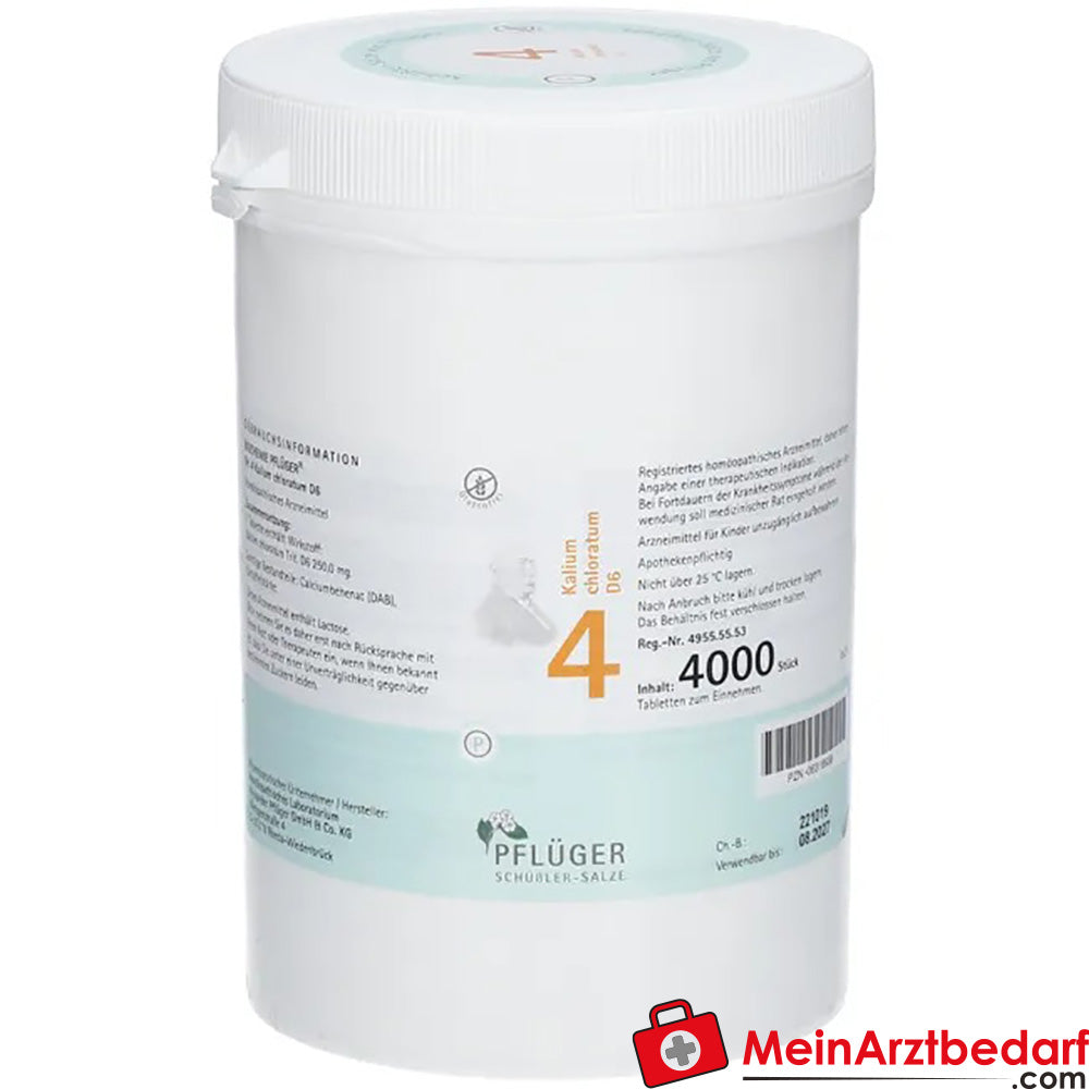 Biochemie Pflüger Nr. 4 Kalium chloratum D6 Tabletten 100 Stück