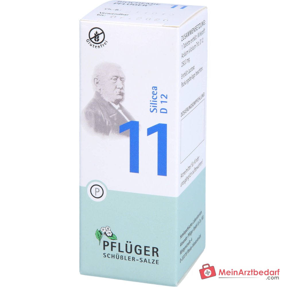 Biochemie Pflüger Nr. 11 Silicea Acidum silicicum D12 Tabletten, 100 St.