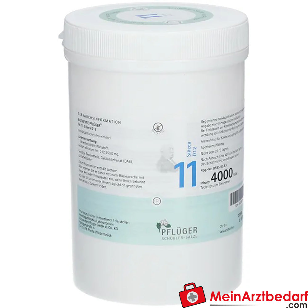 Biochemie Pflüger Nr. 11 Silicea Acidum silicicum D12 Tabletten, 100 St.