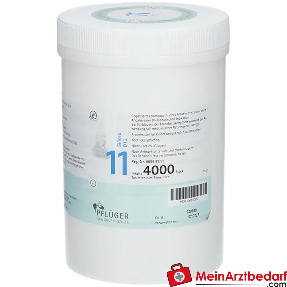 Biochemie Pflüger Nr. 11 Silicea Acidum silicicum D12 Tabletten, 100 St.