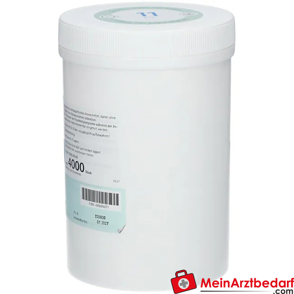 Biochemie Pflüger Nr. 11 Silicea Acidum silicicum D12 Tabletten, 100 St.